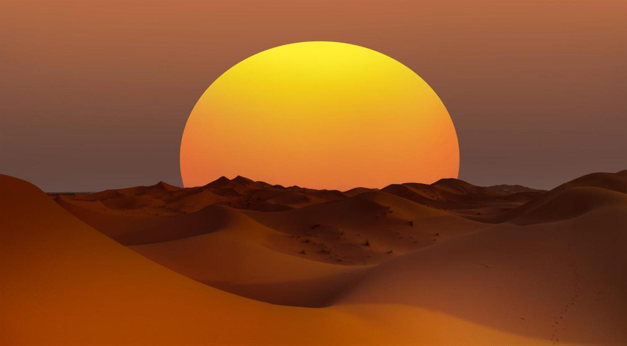 Desert Camel Trek Merzouga Exterior foto